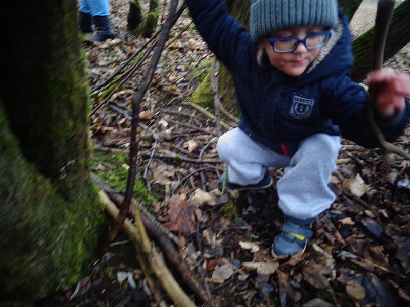 Exploring the surroundings bark, leaves and trees.